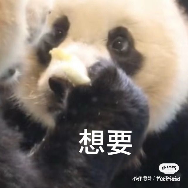 整个群截图