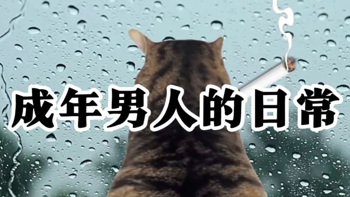 成年男人的日常截图