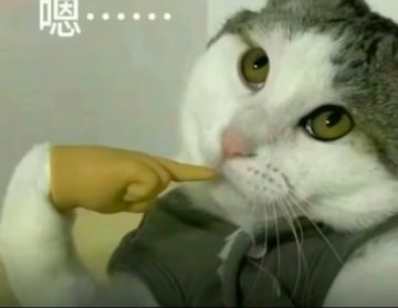 4.24新手老手必看攻略少走10年弯路！
1.有个东西可以加速的评论区会告诉你 没加速前期真的会肝吐了 玩了这么久没听过因为加速被封号的 从来没有
2.新手初始号很关键 自己刷也好去买也好 必须要初始 否则开局充一两千也打不过零氪的
有1个即可一直玩下去的：月读 安娜
由于概率过于抽象 还有以下这些英雄有任意两个也可以
一直玩下去
托兰 女娲 帝江 蚩尤 睡神 伏羲 东皇 雌小鬼
如若没有 建议用