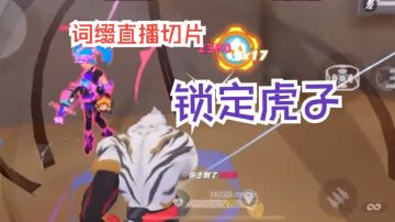 锁定虎子【寅|词缀直播切片|火力苏打T3游戏实况】