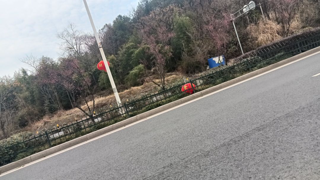 如果不是我手机丢了，还玩，但成年以无时间 4