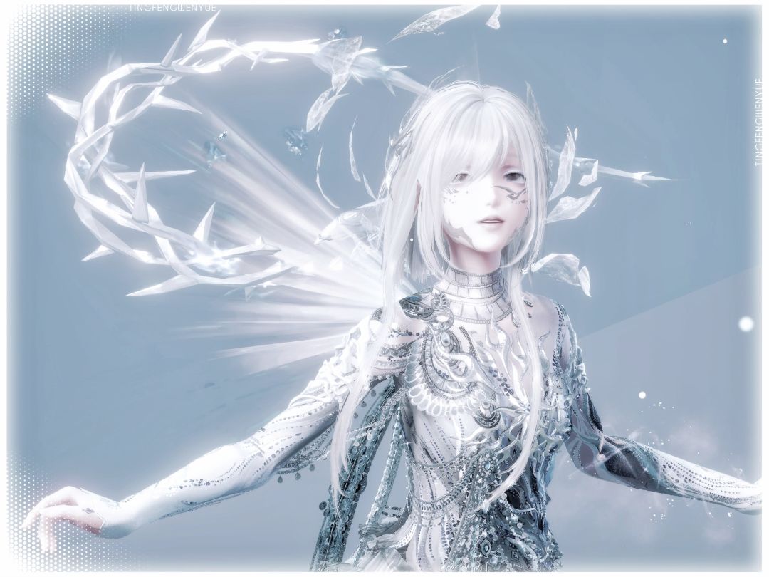 银墟星骸 8