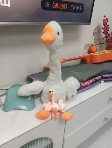 新手向部分属性和效果解释