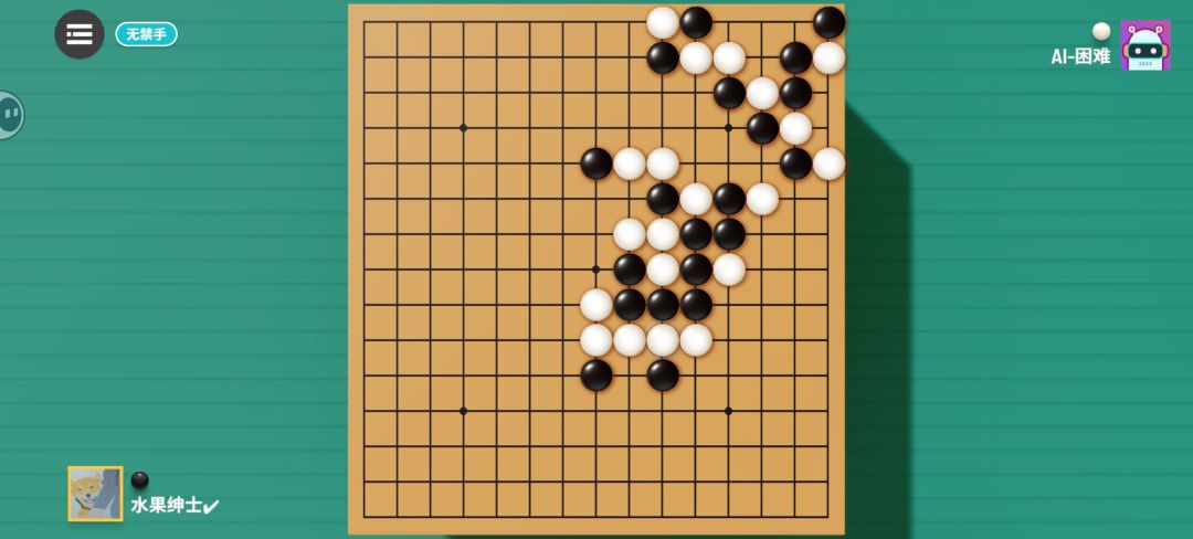 这是啥?这是围棋! 2