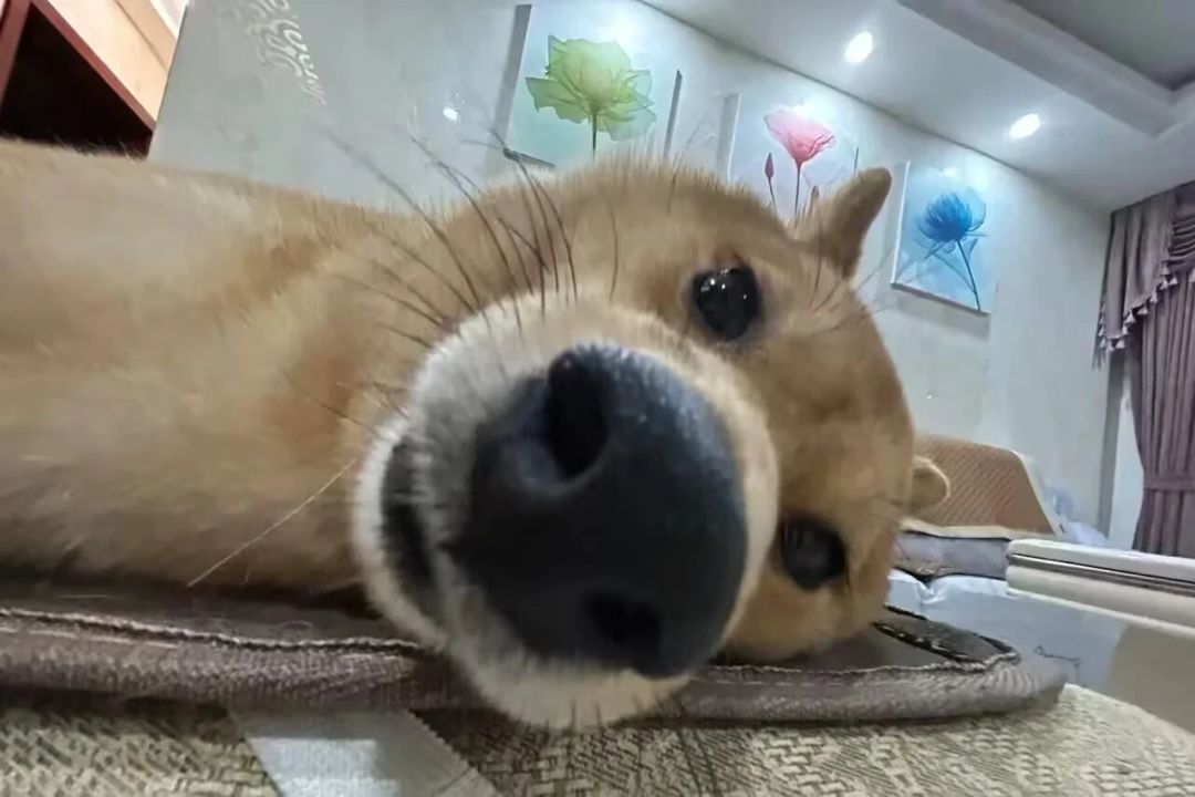 典藏卡包什么时候上线,八换一也行啊 1