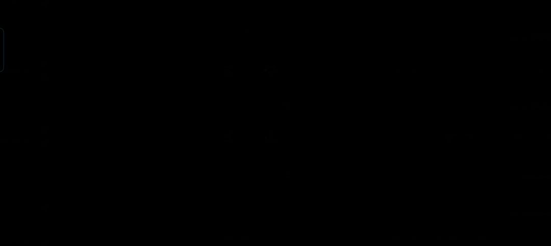 去豕州城直接黑屏 1