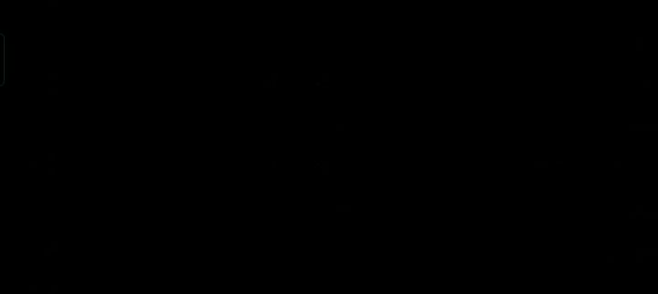 去豕州城直接黑屏截图