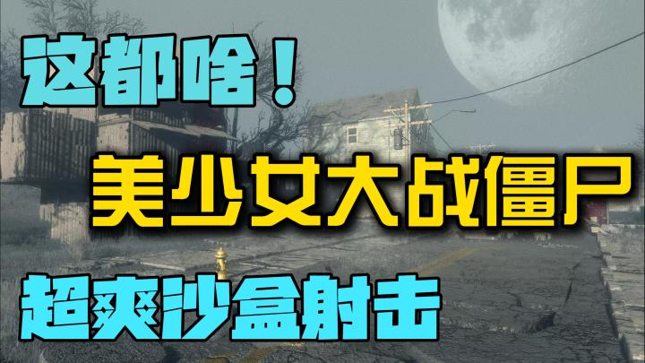 惊现神作!时空大乱斗的二次元射击游戏截图