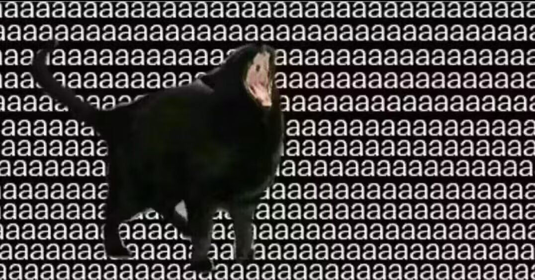 想蹭洛克贝 1