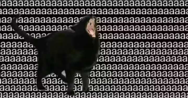 想蹭洛克贝截图
