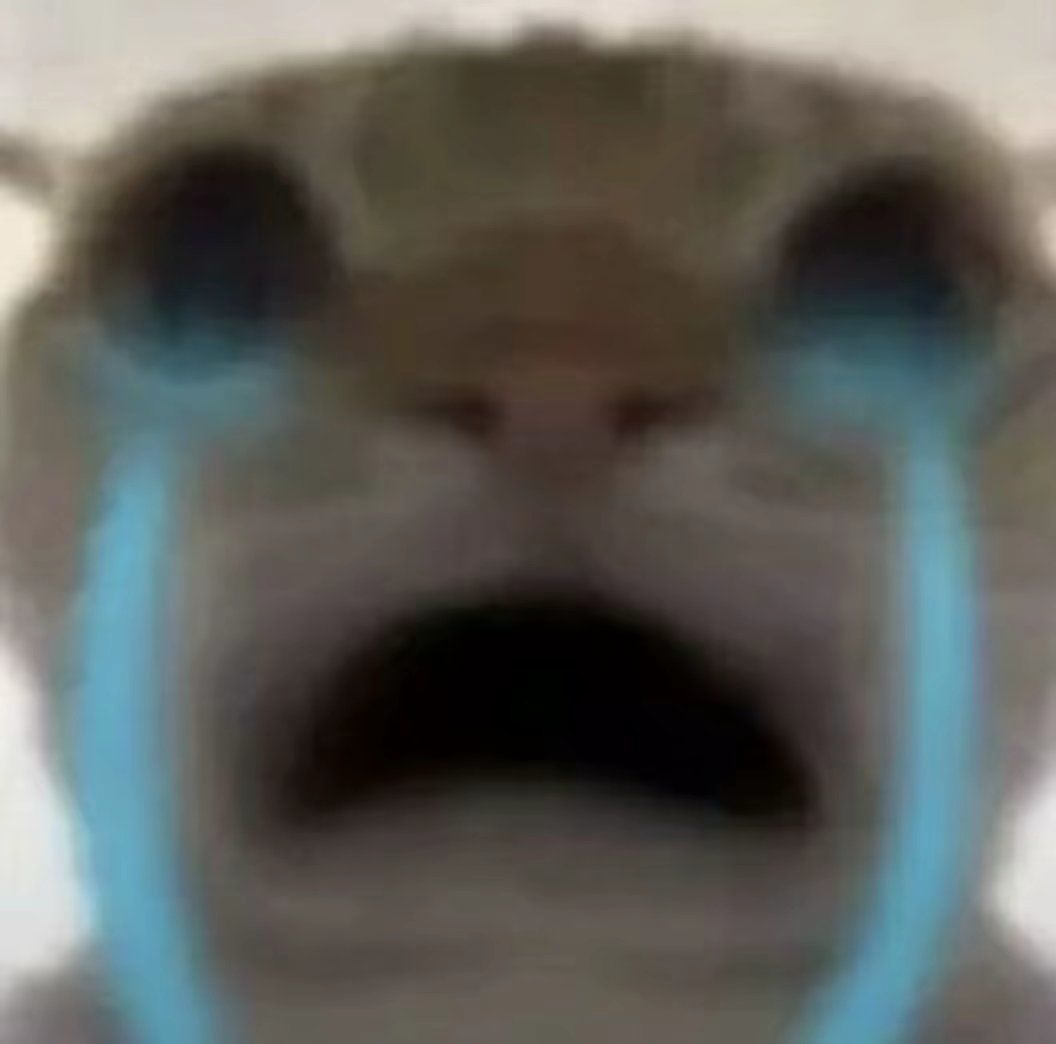 为什么我下载不了? 1