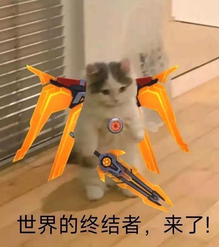 兄弟们，喵呜有PC版吗截图
