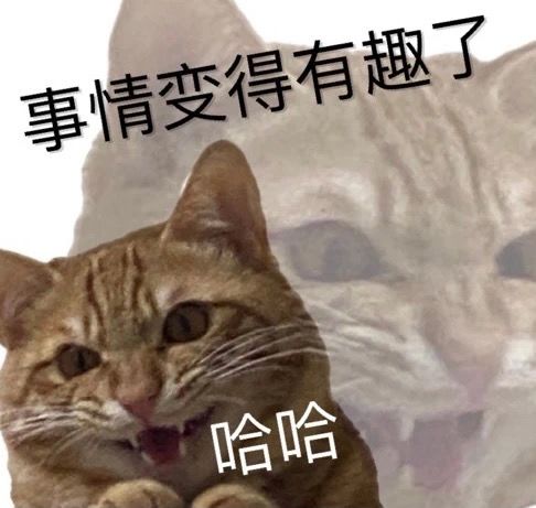 刚回来的新人有些疑问,现在看头部玩家基本都开始带的蓝色符文,请问新人剑盾开号玩前期是带用光暗还是可以从零开始带蓝色的呢截图