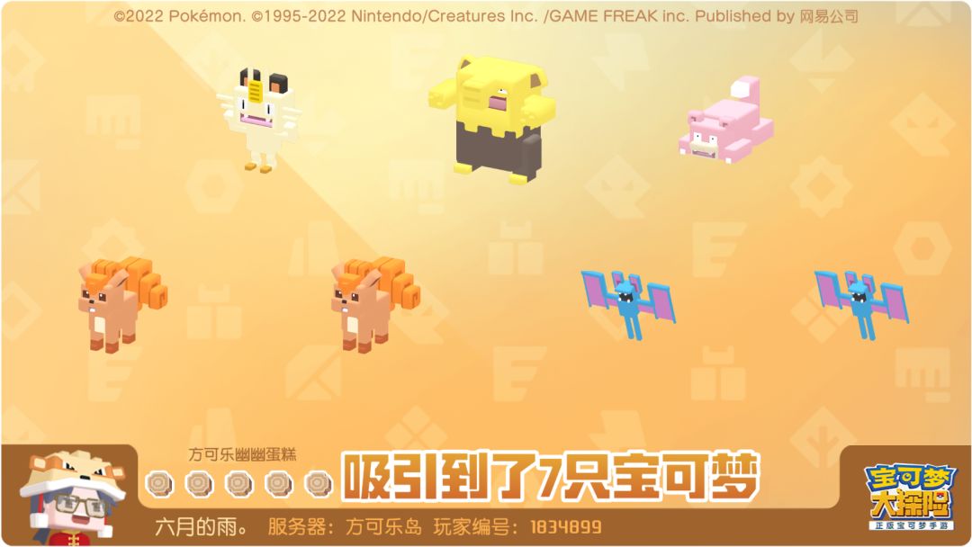 来来来 看看你们家的金锅 3