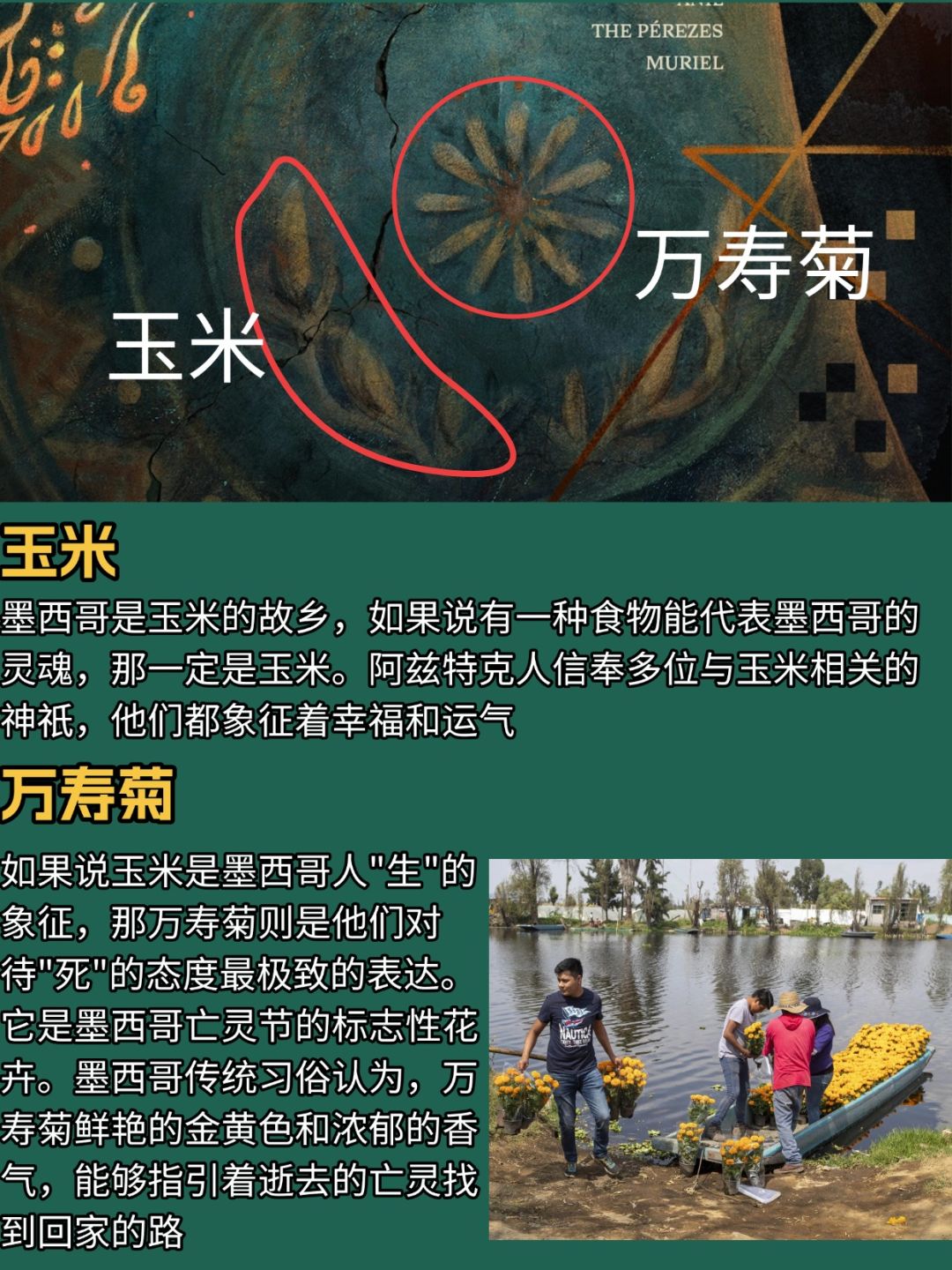 重返未来3.5版本海报考据丨绿松石蛇俱乐部 3