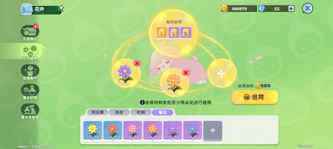 【花卉培养攻略】菊花 稀有花色合成公式 3