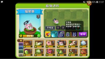 【玩家攻略】全屏狙击—猫尾草