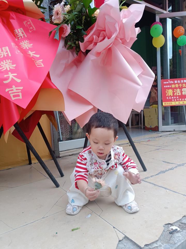 动态图片 5