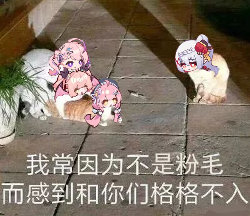 整活1:四个联动,三个粉毛 1