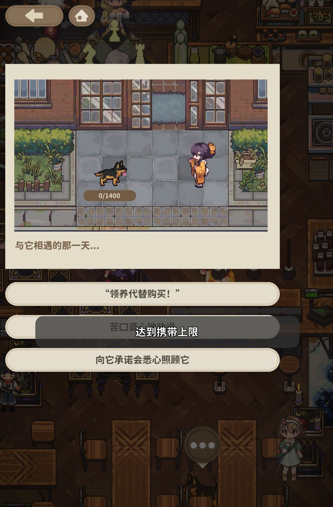 宠物收养满了怎么办,真的很想要德牧 1