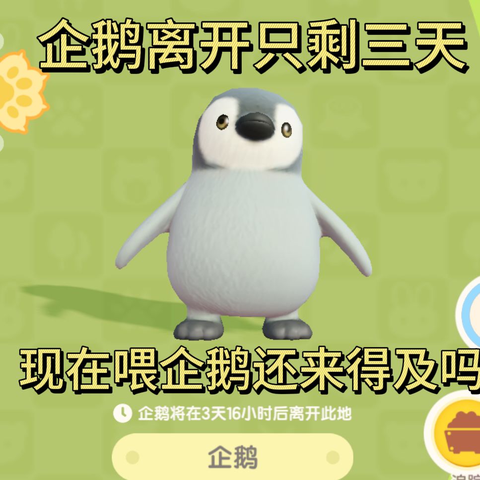 企鹅到底多久饿一次啊 1