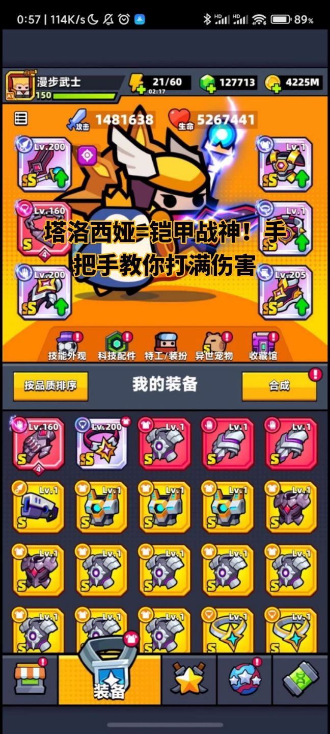 塔洛西娅=铠甲战神！手把手教你打满伤害截图