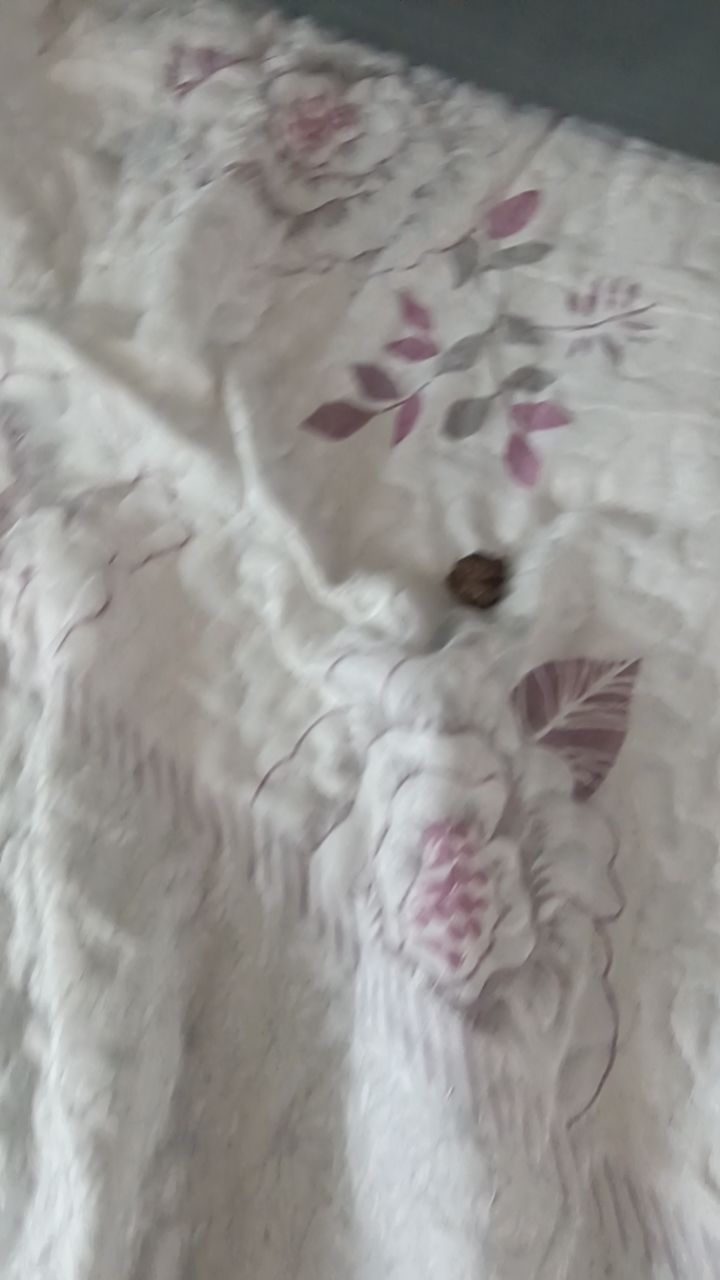 动态图片 17