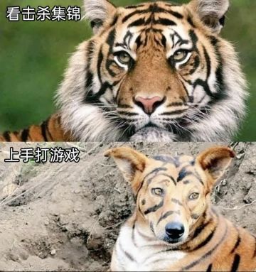 加些奇怪的成就呗～