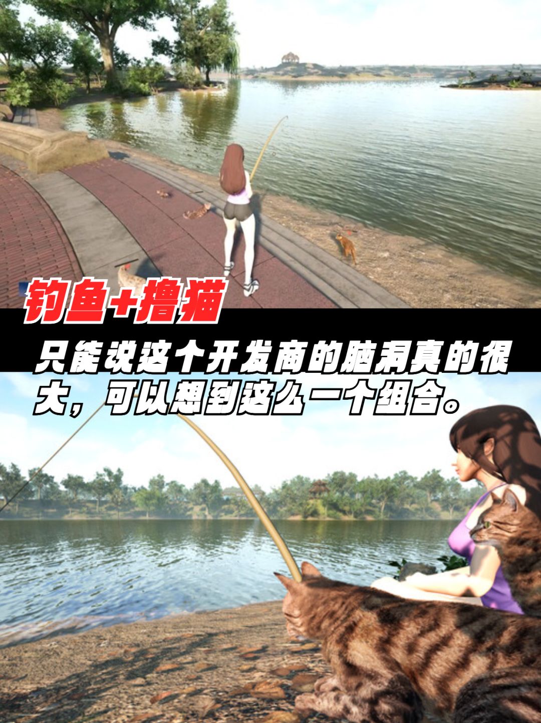 奇葩“撸猫+钓鱼”休闲游戏👉好会玩‼️ 2