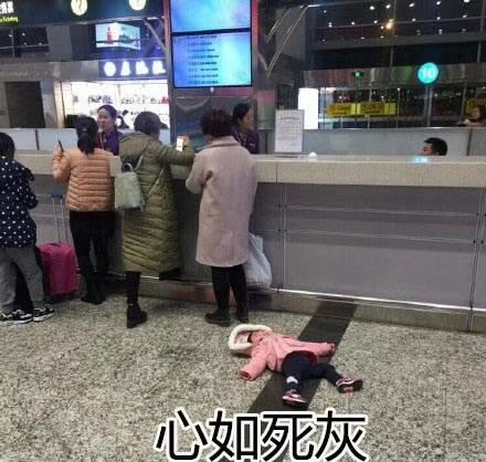 现在才入坑是不是晚啦 1