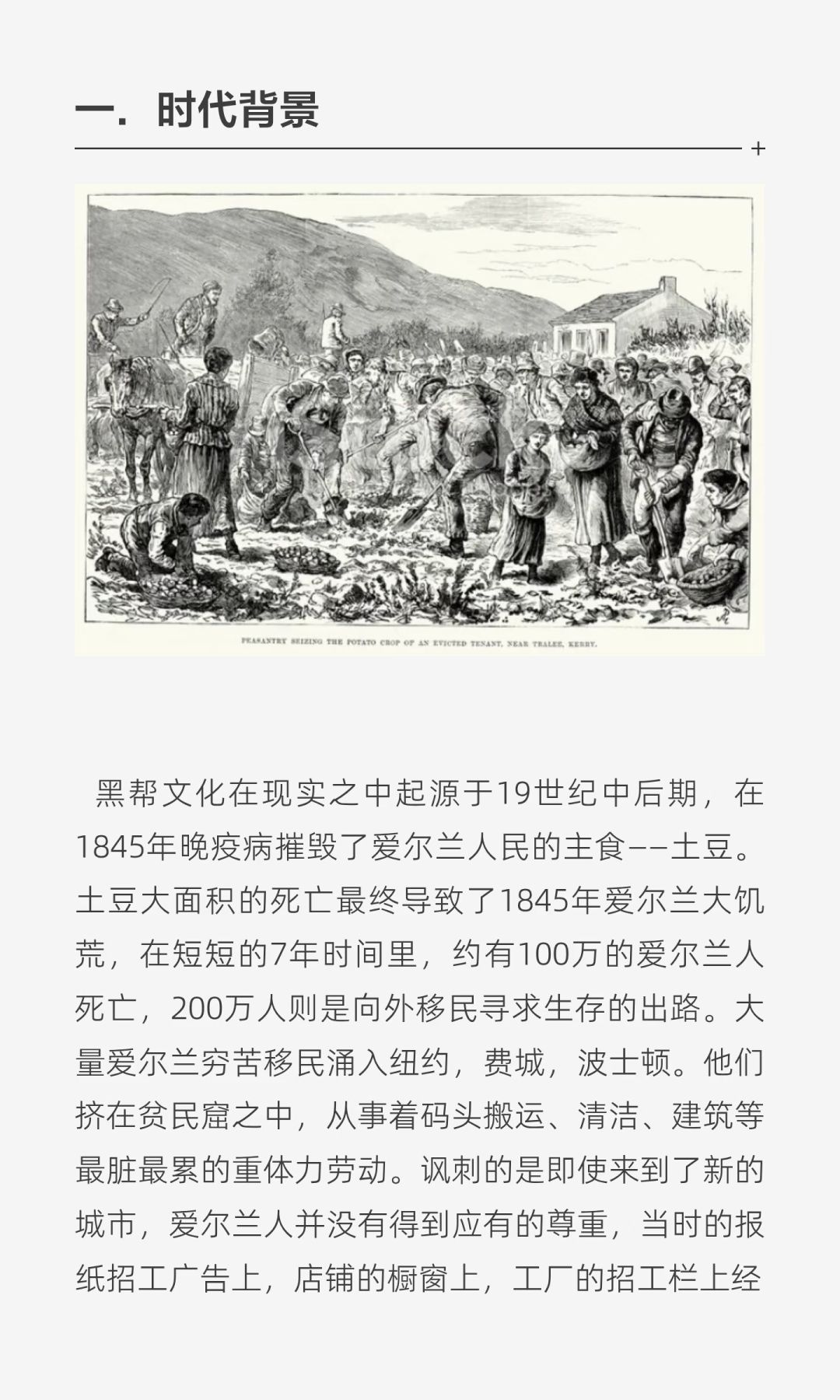 枪花铅灰与玫瑰考据 2