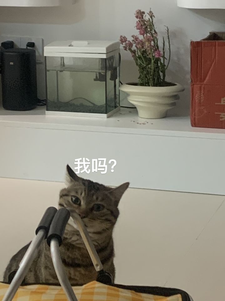有无小团体合并，大约有20个位置。截图