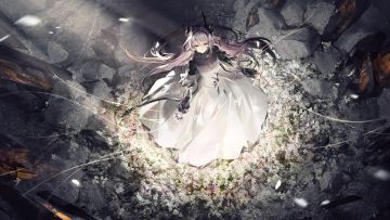 上一篇打死没过审，再发一遍，切～