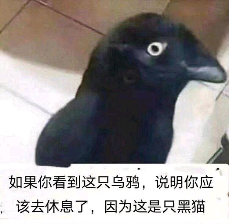 弔图第二期 7