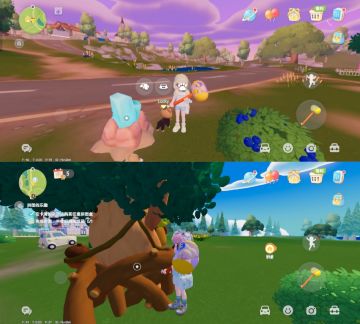 6.26萤石溜溜木位置