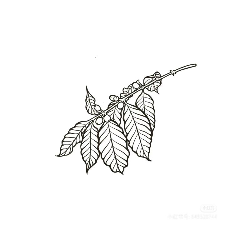 #许愿黑神话悟空 加油，开启国产3A大作的好头截图