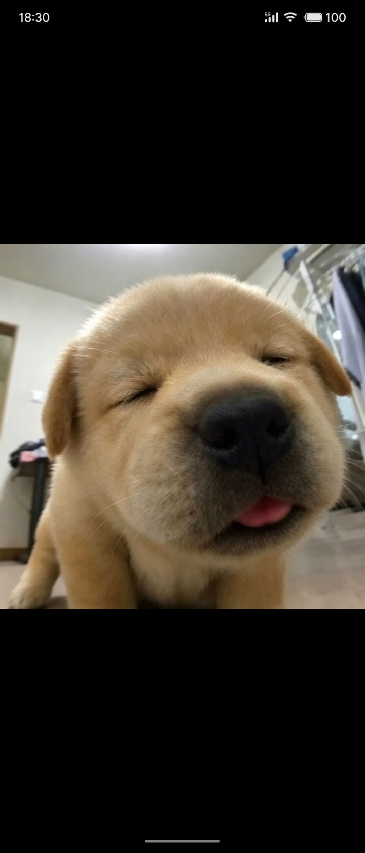 主线难度截图