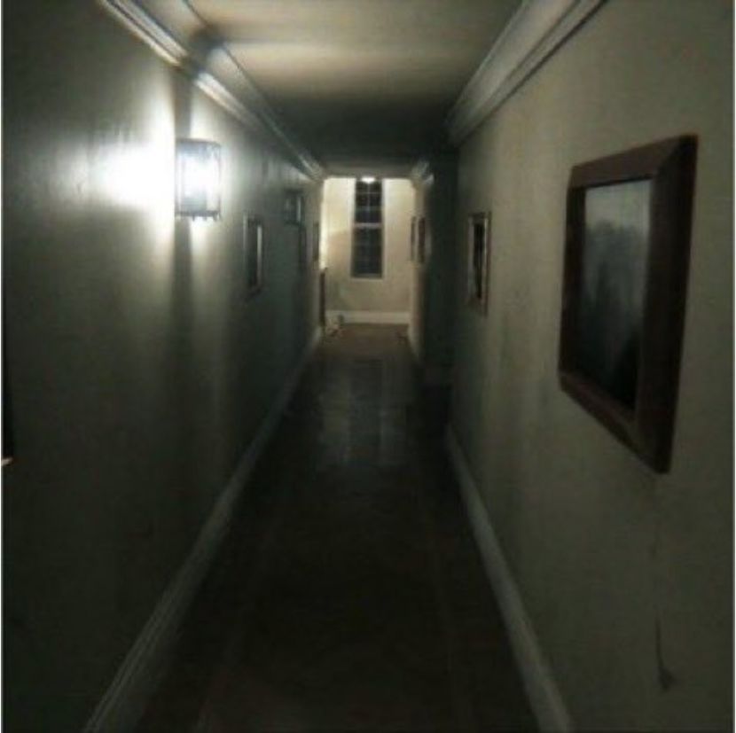 小岛转发P.T.移植版,开发者激动回应! 2