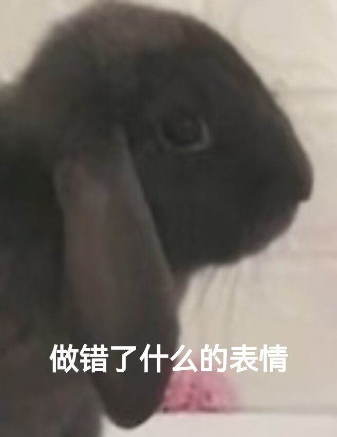 感觉主角好像摄像头啊… 2