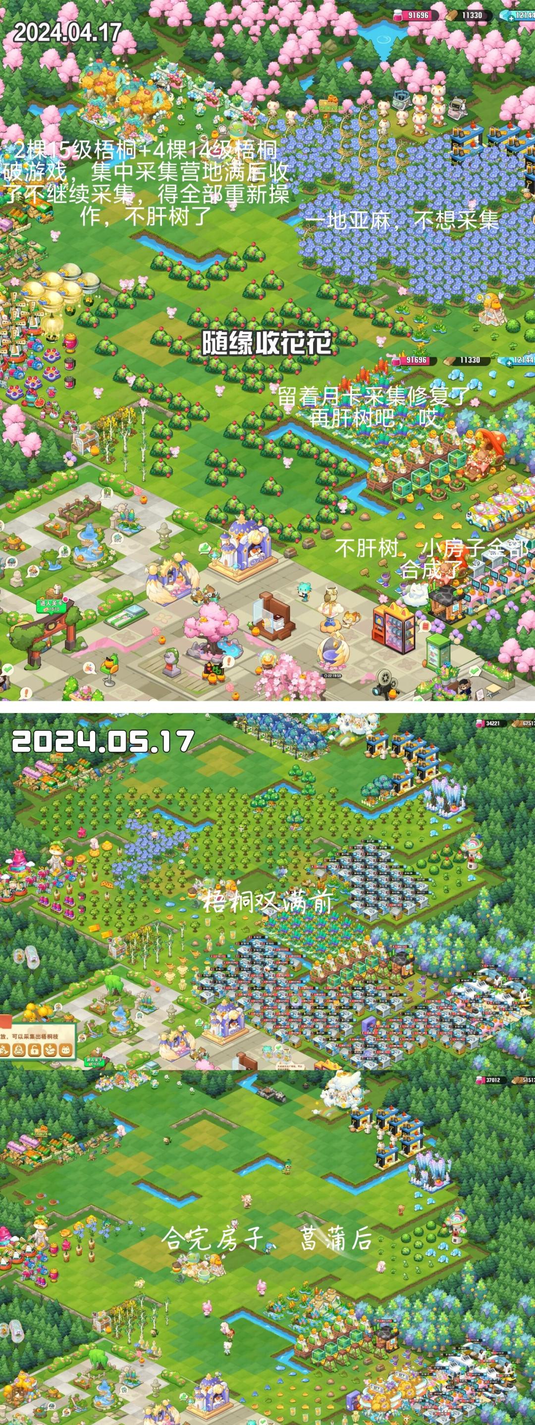 小森灵,入坑15个月咯 10