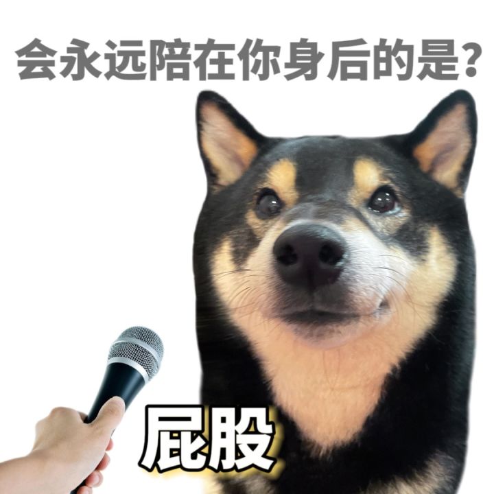 找开荒搭子截图