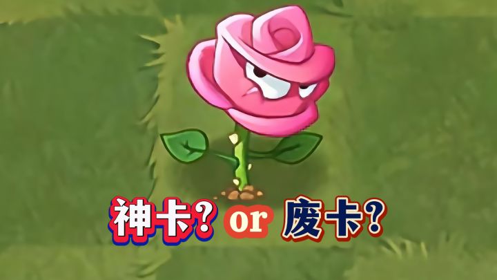 平民神器or刮痧废卡？玫瑰剑客1-5阶实测截图