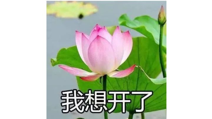 目前红机甲截图