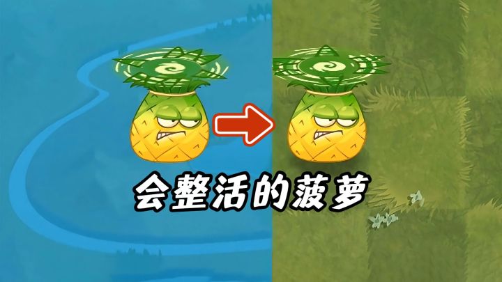 这么会整活的菠萝,你见过没有?截图