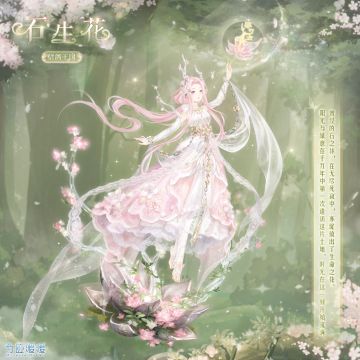 【新套装】石林奇遇 灵幻之森