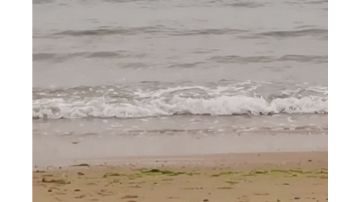 无脑提升流，简单