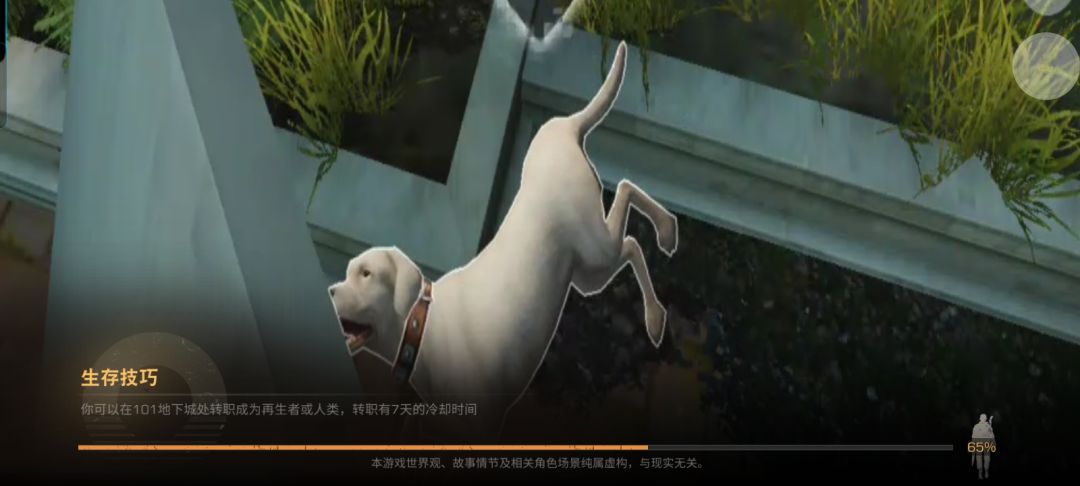 bug之后 1