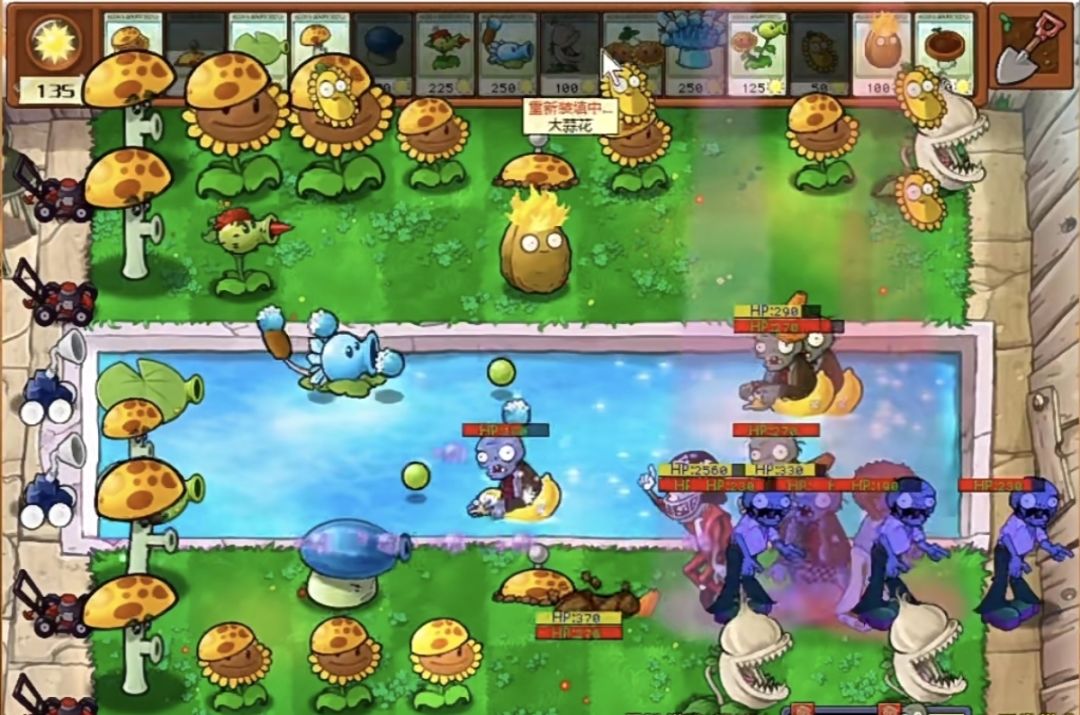 What❓❗植物大战僵尸杂交版Tap可以预约了❓❓ 4