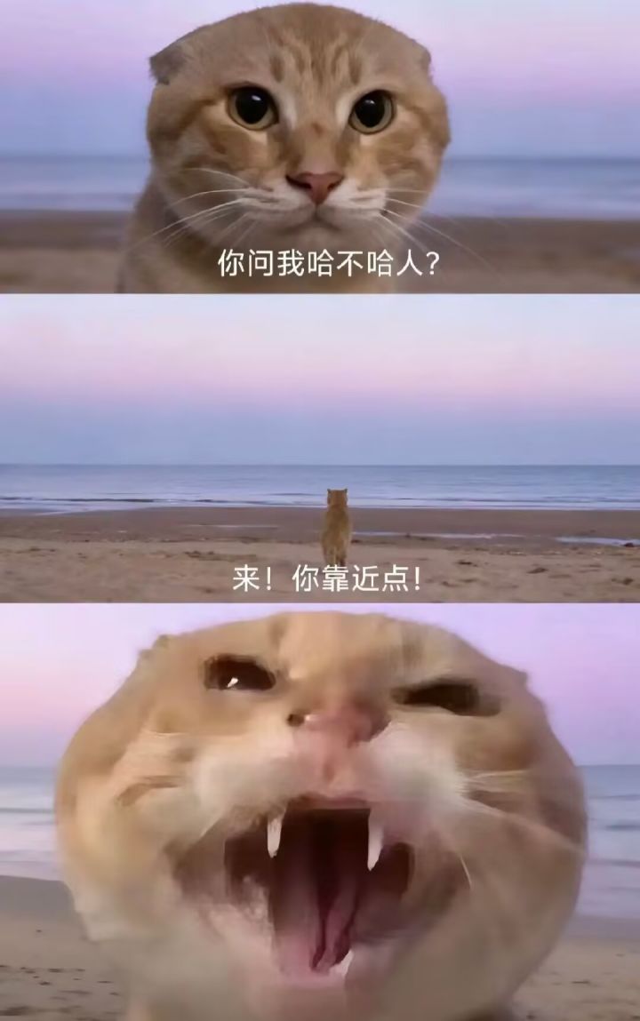 这游戏相比其他二游还是有创新的截图