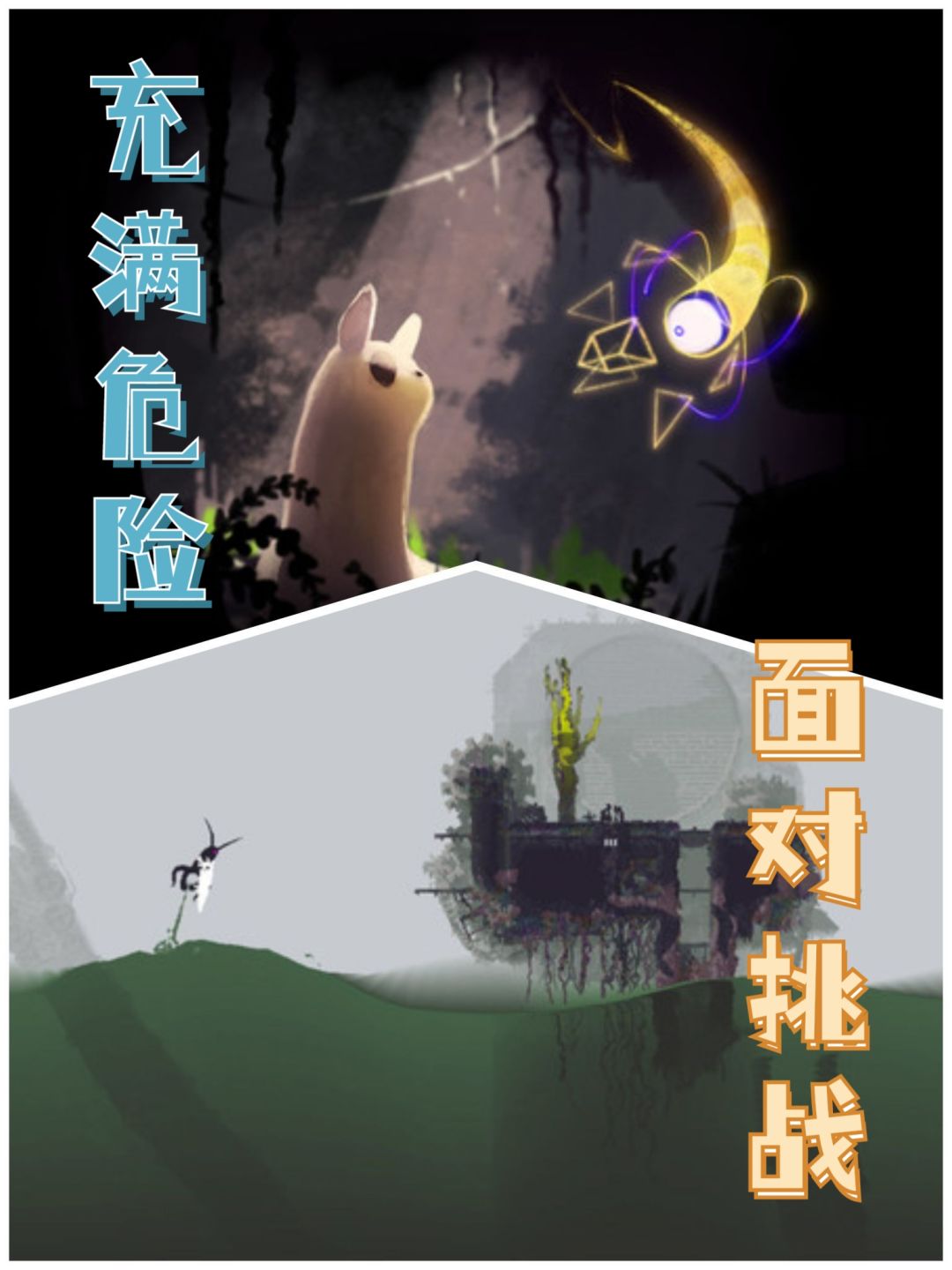 充满挑战的动态世界 2